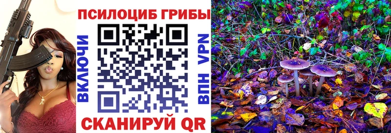 Галлюциногенные грибы Psilocybe  Губкин 